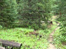 Sarvis Creek National Wilderness Area Steamboat Springs Colorado