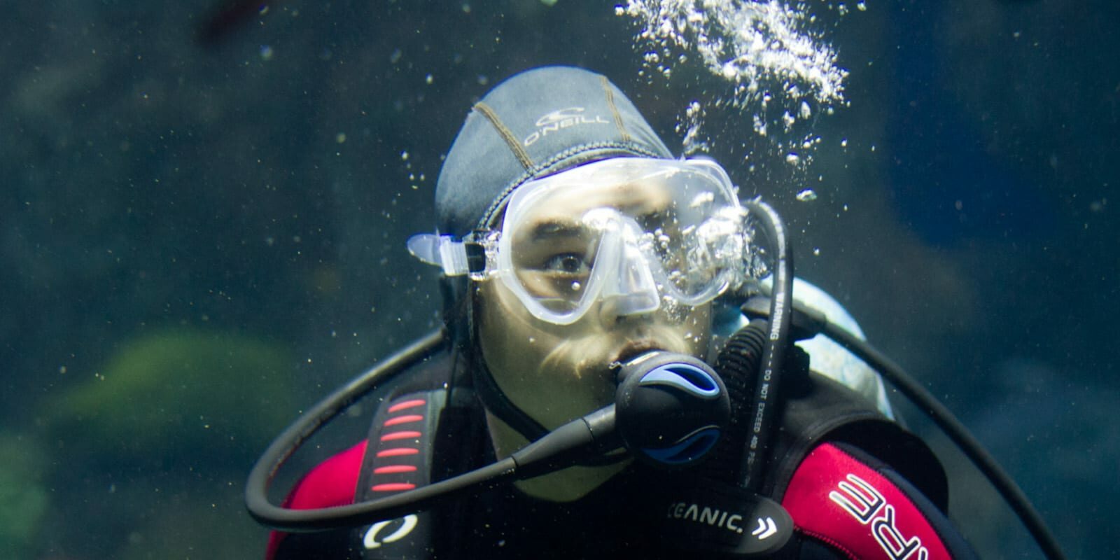 Colorado Watersports Scuba Diving Downtown Aquarium Denver