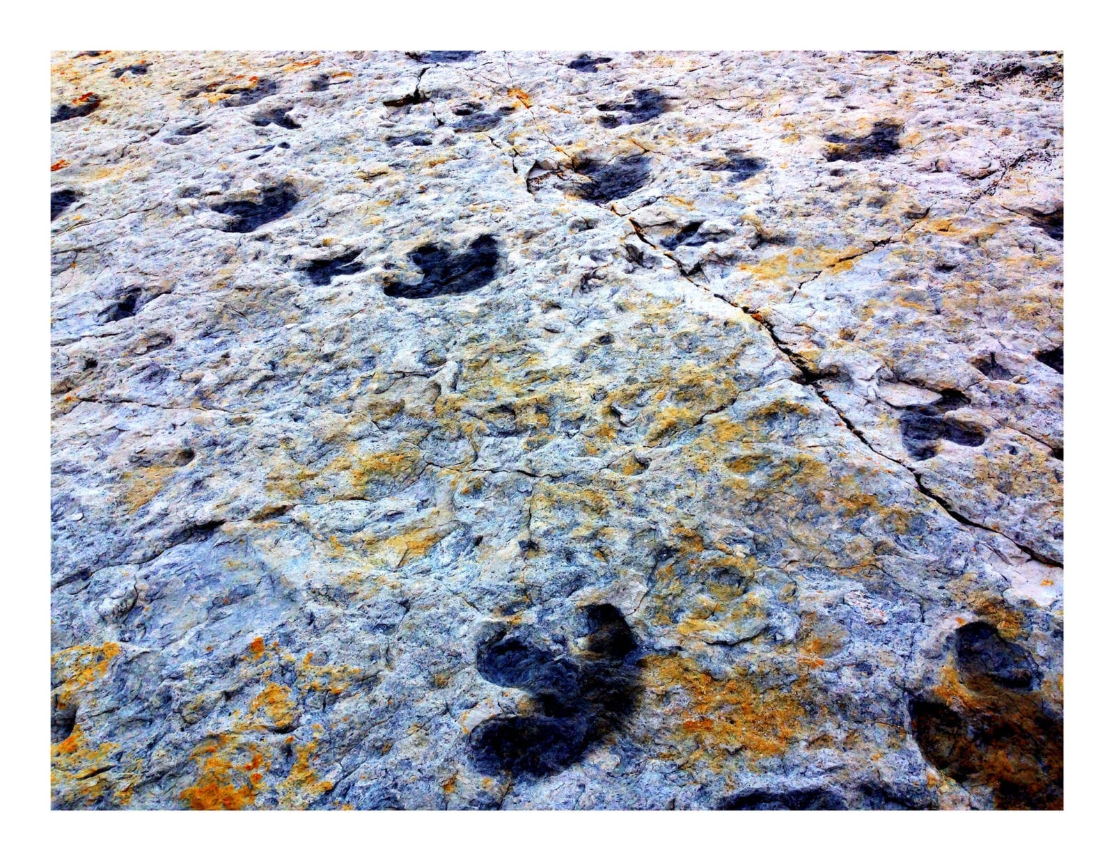 image of Dinosaur Ridge