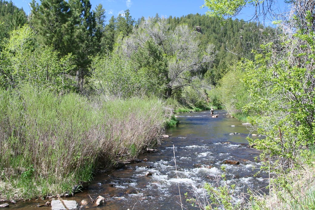 image of Bear Creek at Lair o the Bear Park