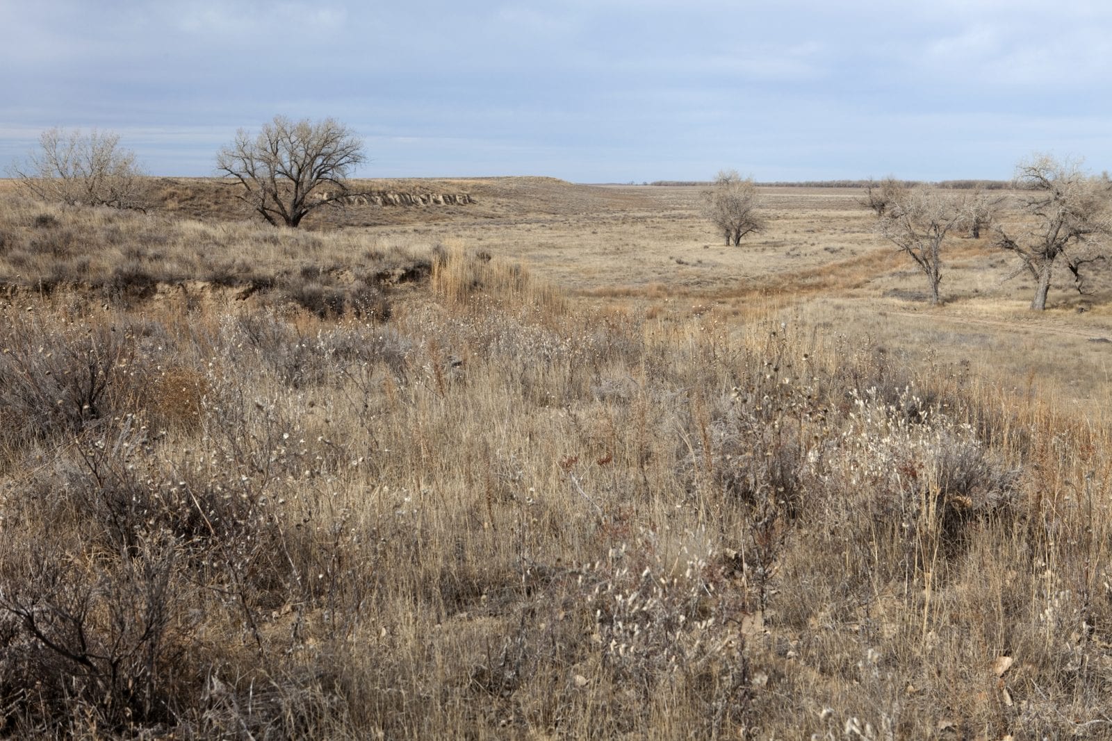 image of Sand Creek Massacre Historic Site