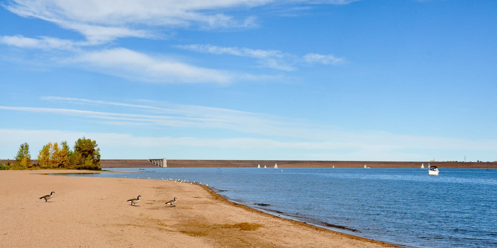 Chatfield Reservoir Dam Geese