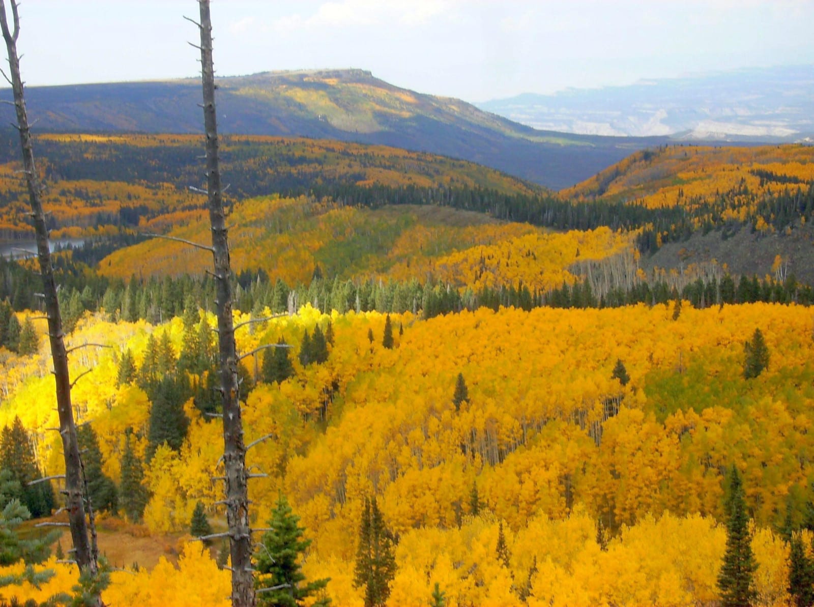 Random Facts Colorado Grand Mesa Flat Top Mountain