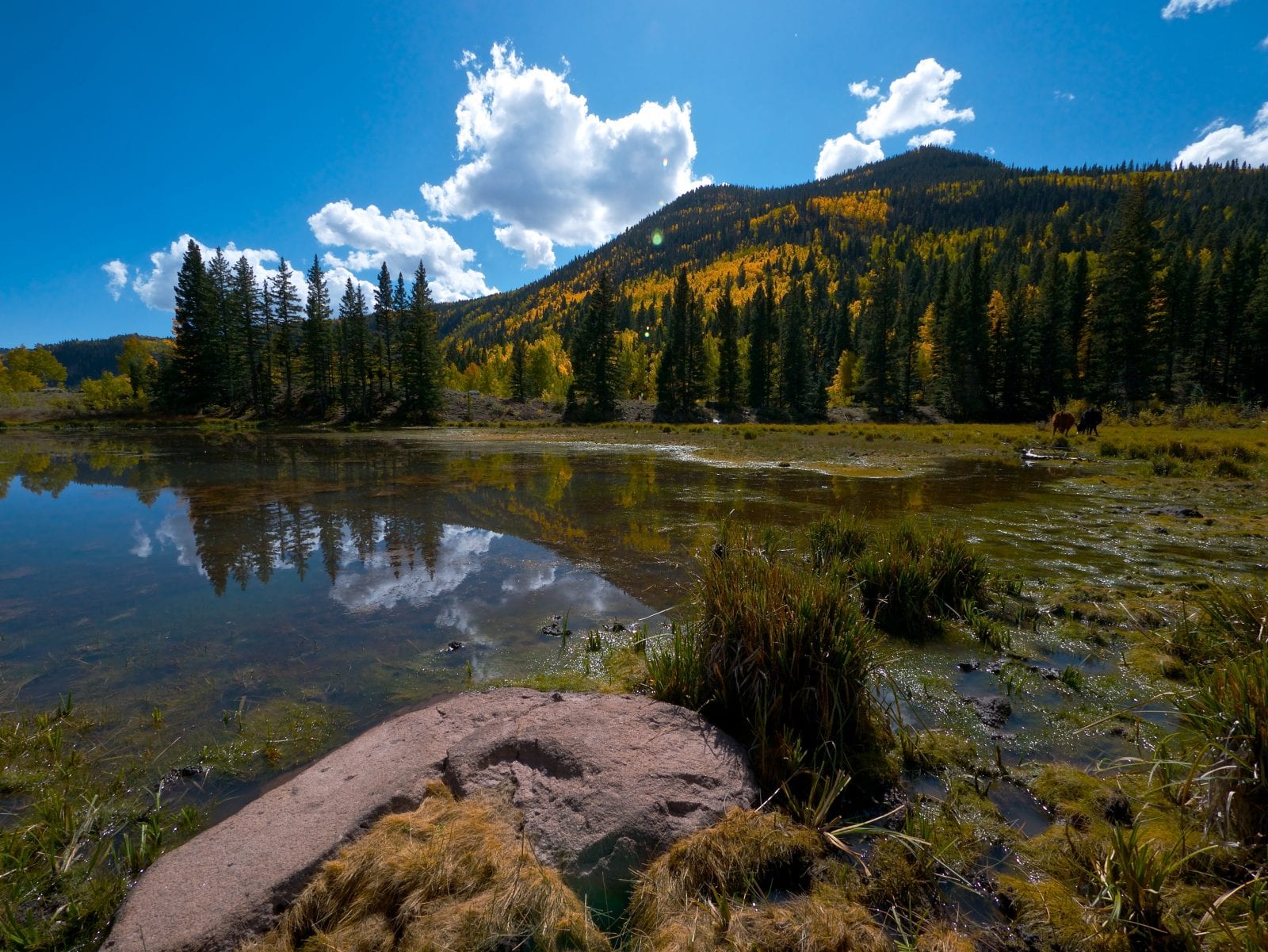 Green Lake Trail