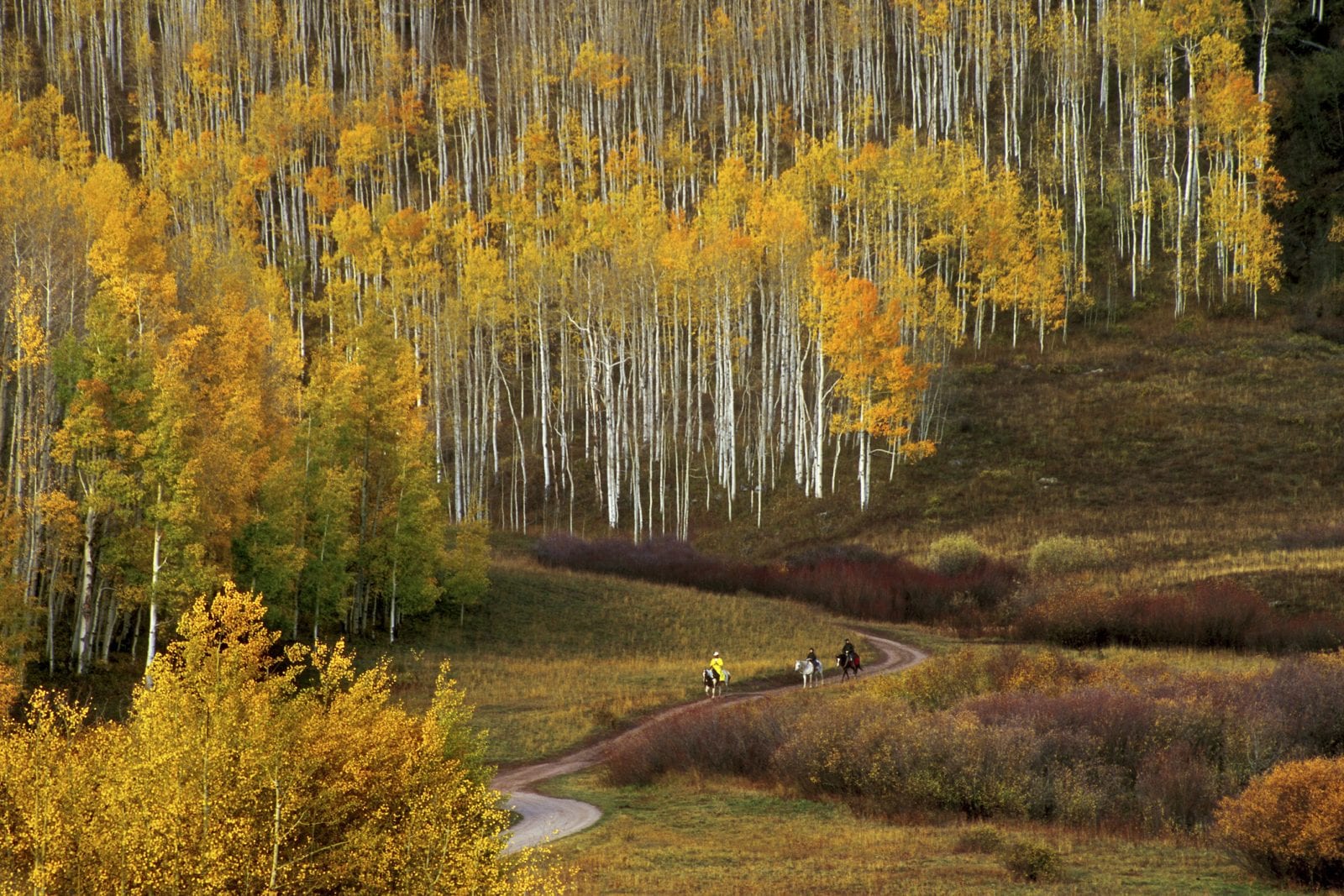 image of kebler pass