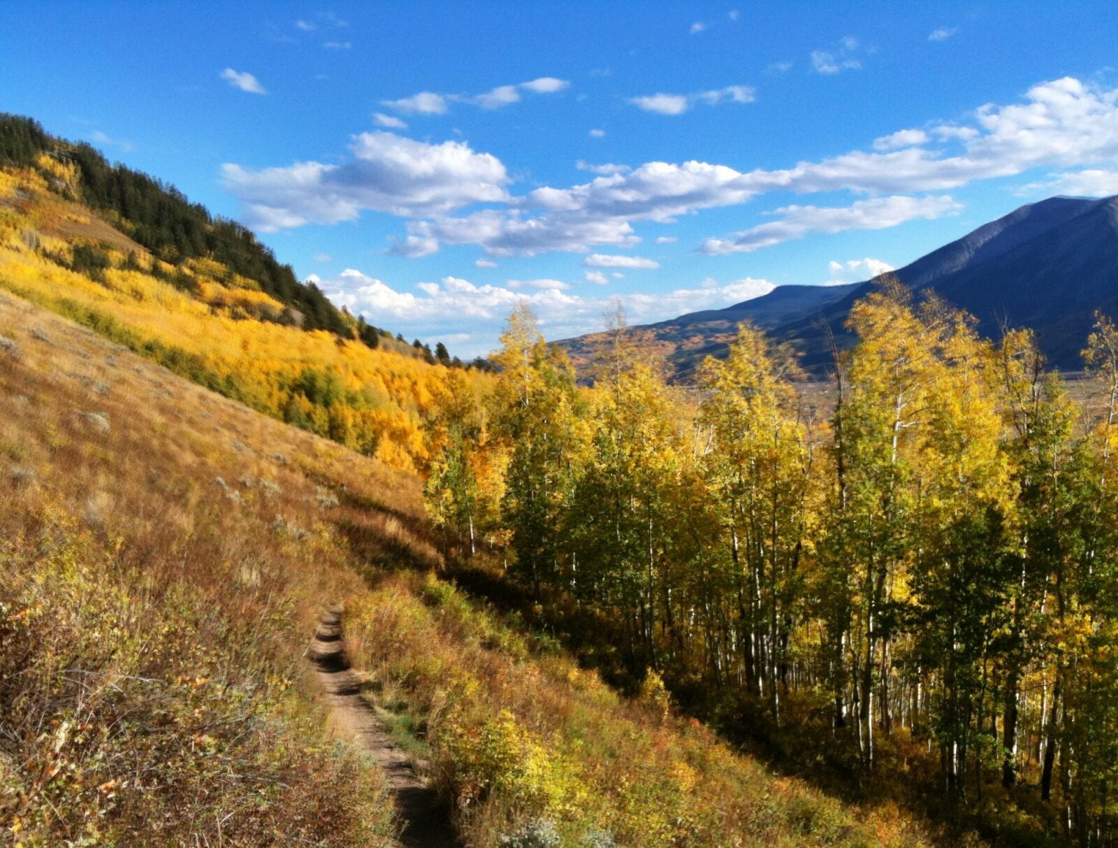 Mountain Biking Upper Loop Trail, Crested Butte, CO, USA