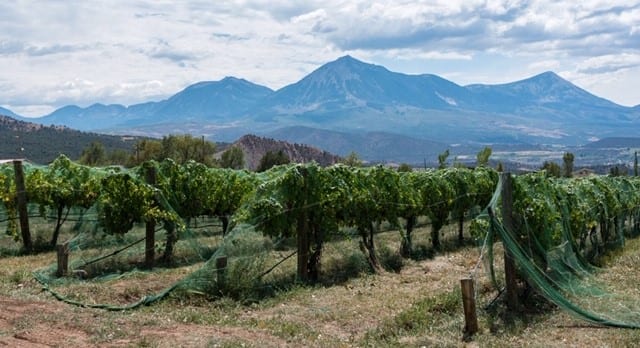 image of winery in Paonia