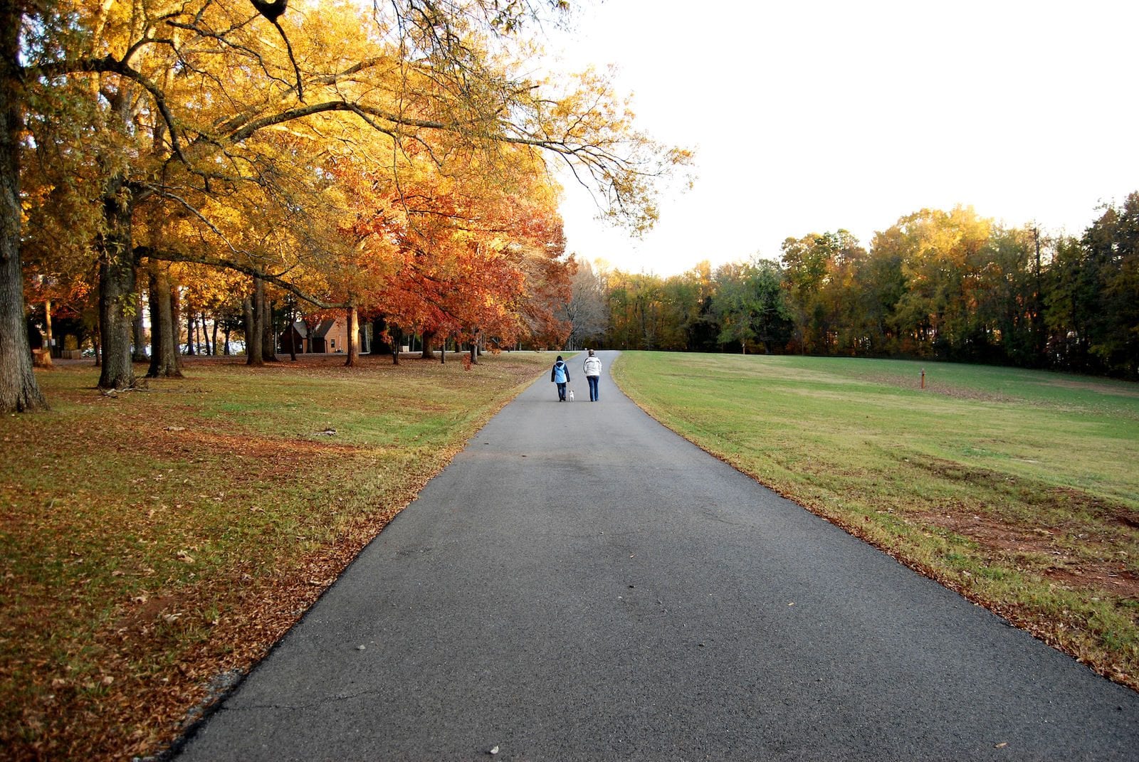 Staunton River State Park fall road