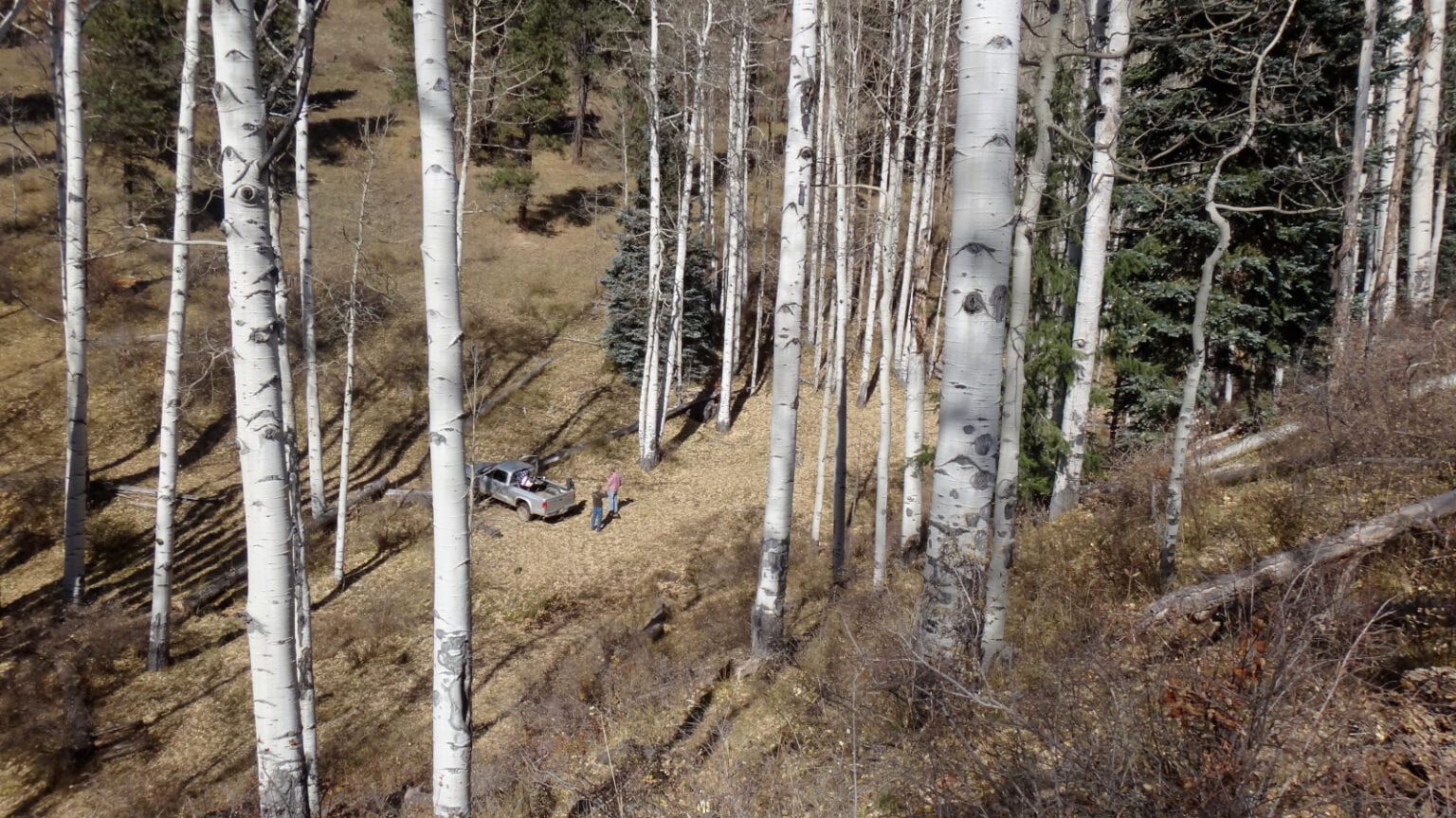 Big Game Hunting Seasons and Draws in Colorado 2019 Season Dates in CO