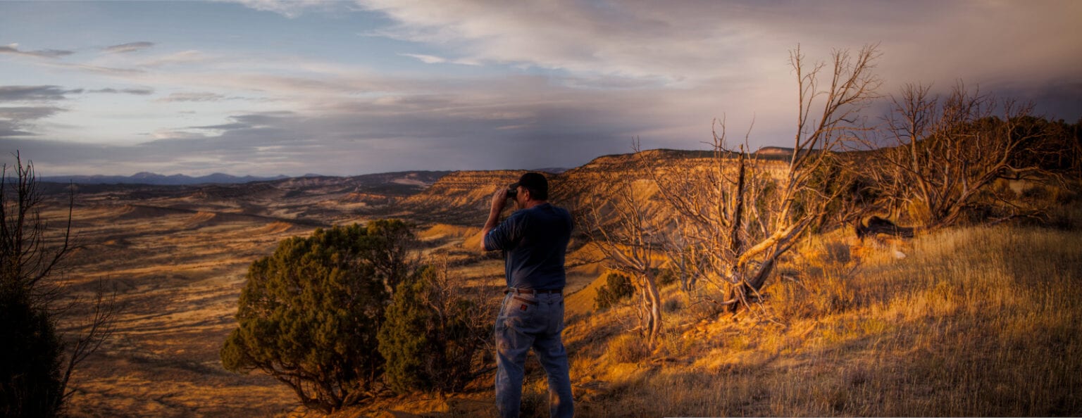 Big Game Hunting Seasons and Draws in Colorado 2019 Season Dates in CO