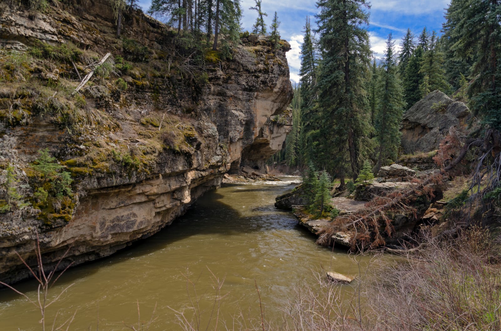 Piedra River Colorado Camping Hot Springs