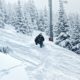 Colorado Ski Resorts Vail Powder Day