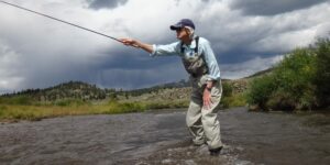 Fly Fishing for Trout in River Park County Colorado