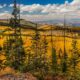 Grand Mesa National Forest Autumn Colors Colorado