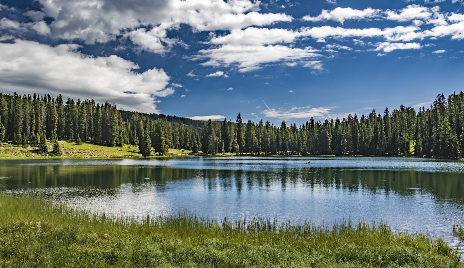 Danau Hutan Nasional Grand Mesa di Puncak