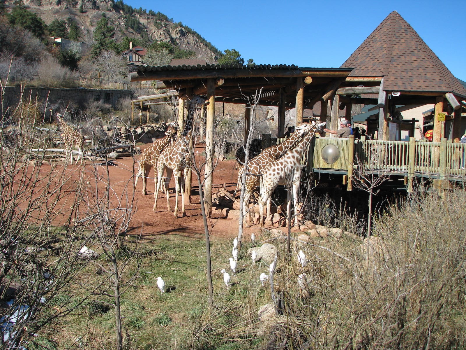 Cheyenne Mountain Zoo, Colorado