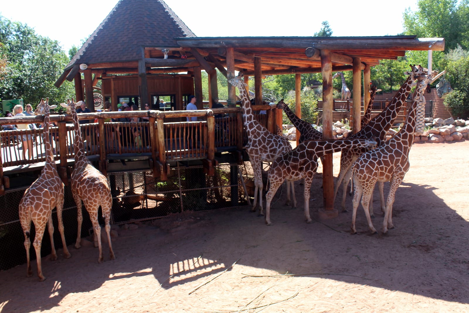 Cheyenne Mountain Zoo, CO