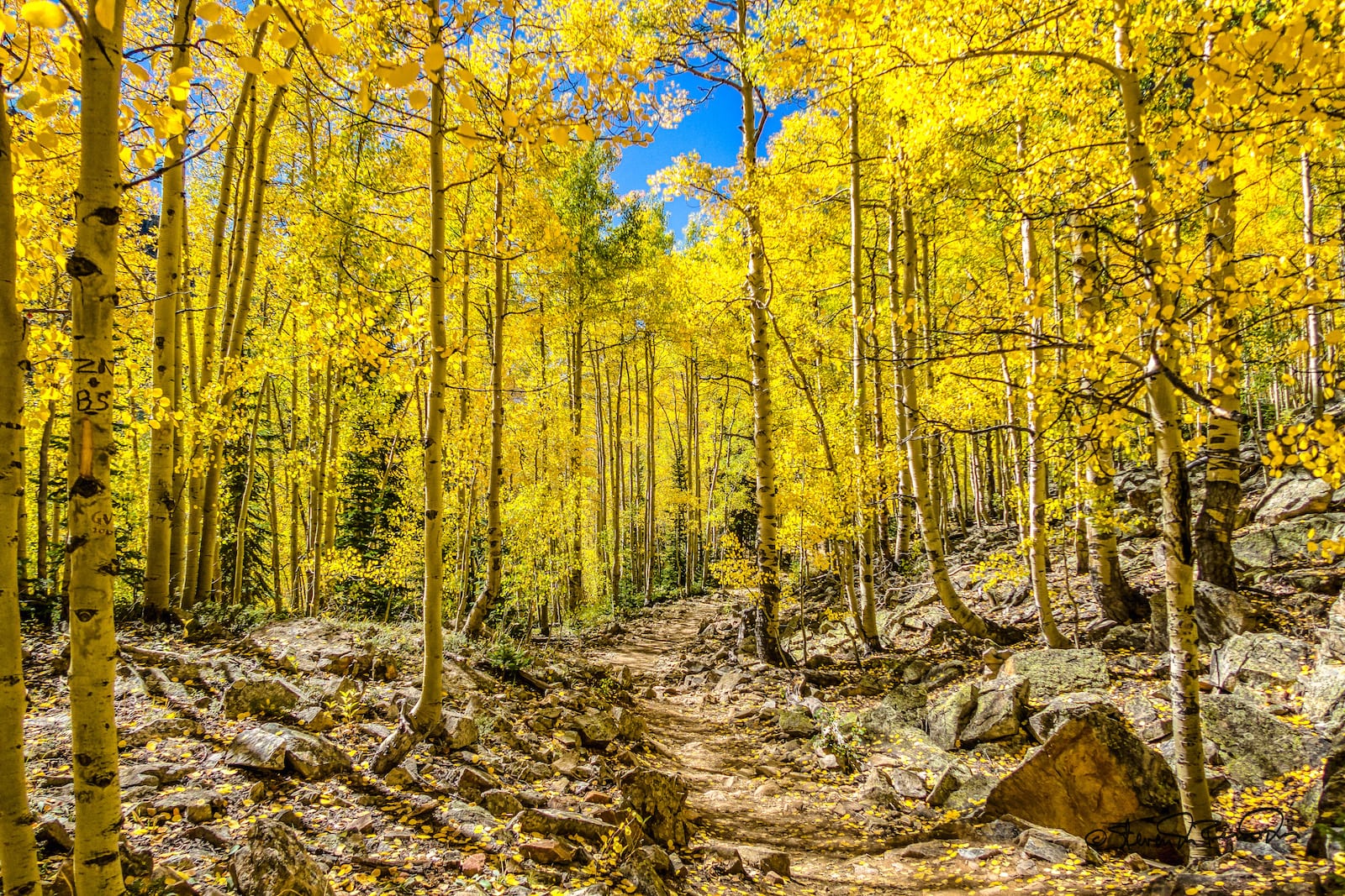 Crater Lake Trail, Maroon Bells CO