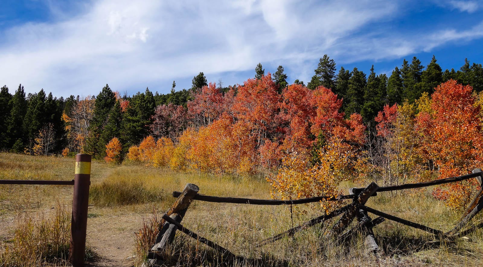 Falling fence in fall colors at Nederland Colorado