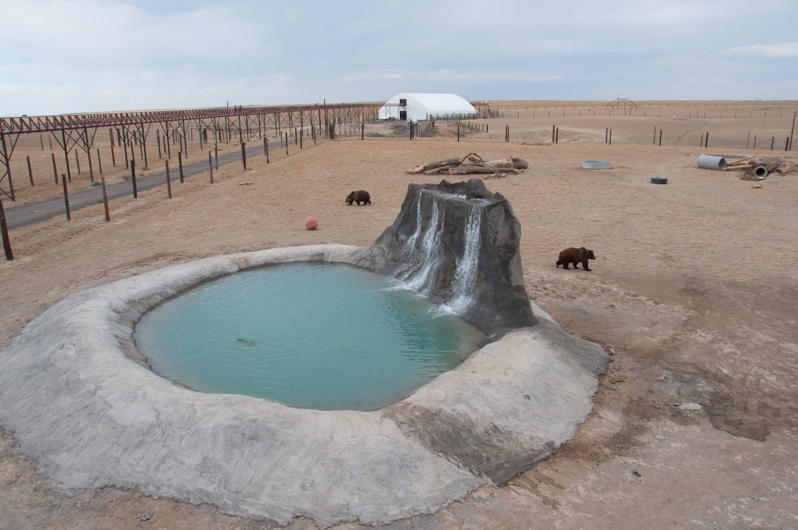 Grizzly Bear Habitat at Wild Animal Sanctuary Colorado