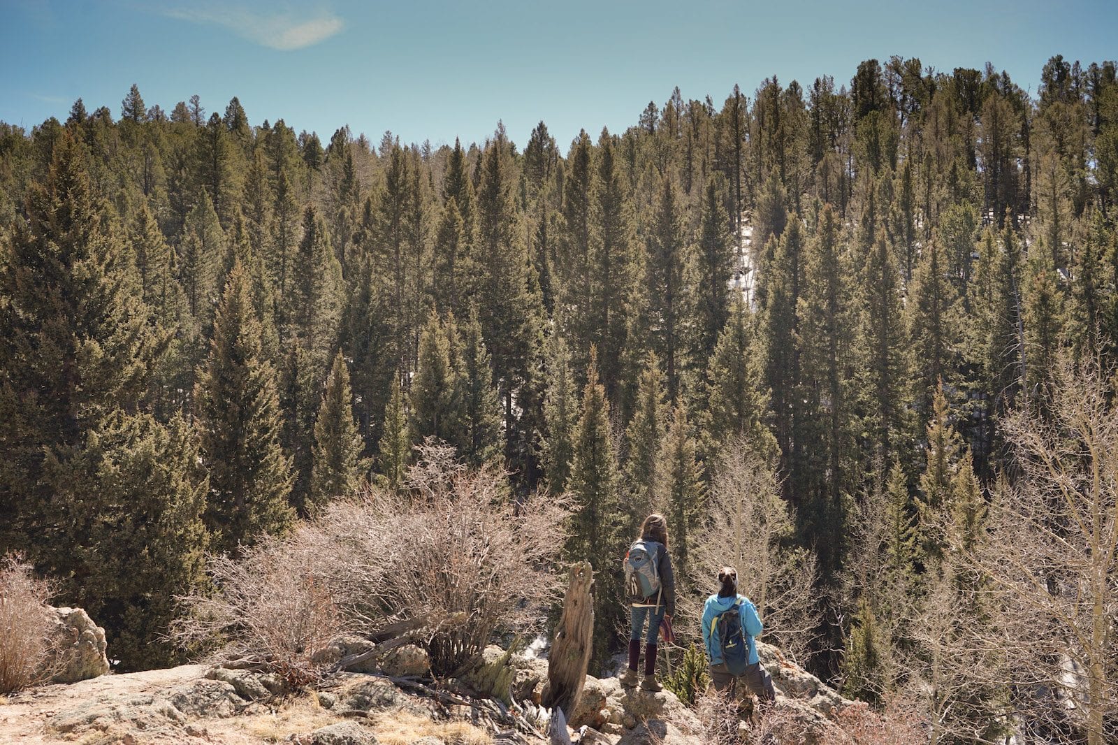 Mueller State Park