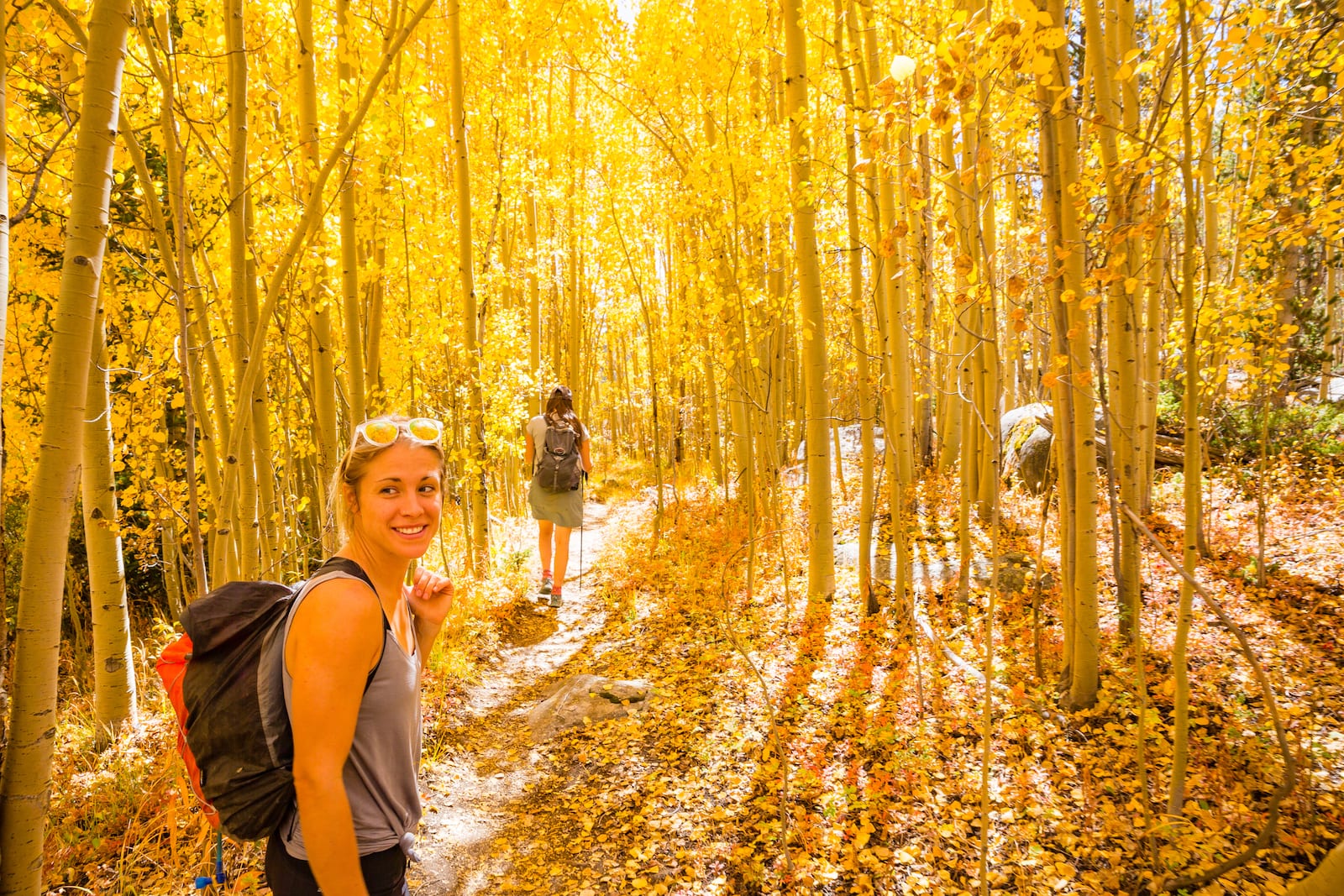 Guanella Pass Autumn Fall Colors Aspen Grove Hiking Trail