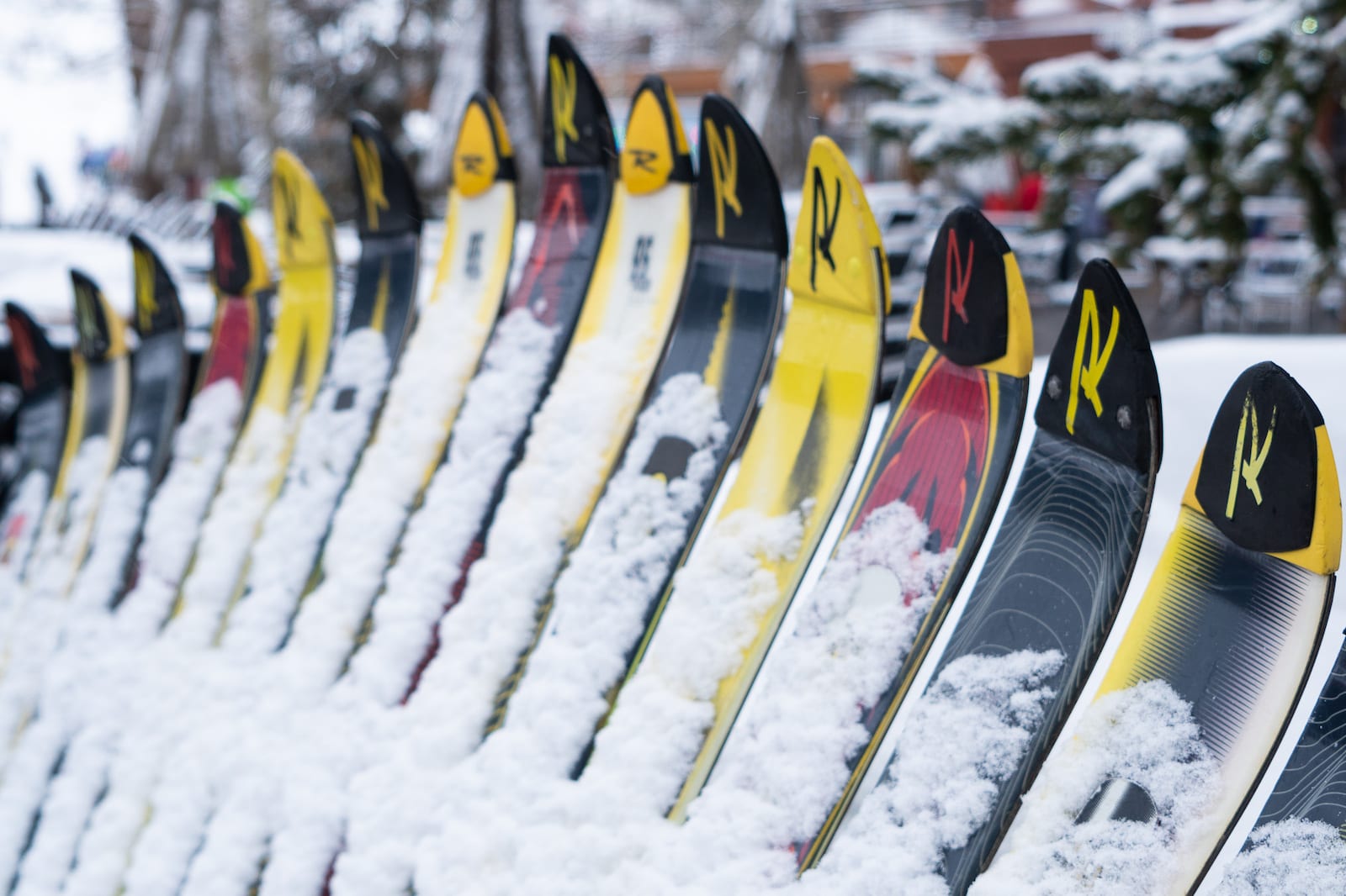Copper Mountain Resort Ski Fence