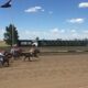 Colorado Horse Racing Arapahoe Park Racetrack Aurora