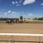 Horse Racing Arapahoe Park Racetrack Aurora CO Crossing Finish Line