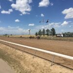 Horse Racing Arapahoe Park Racetrack Final Straightaway