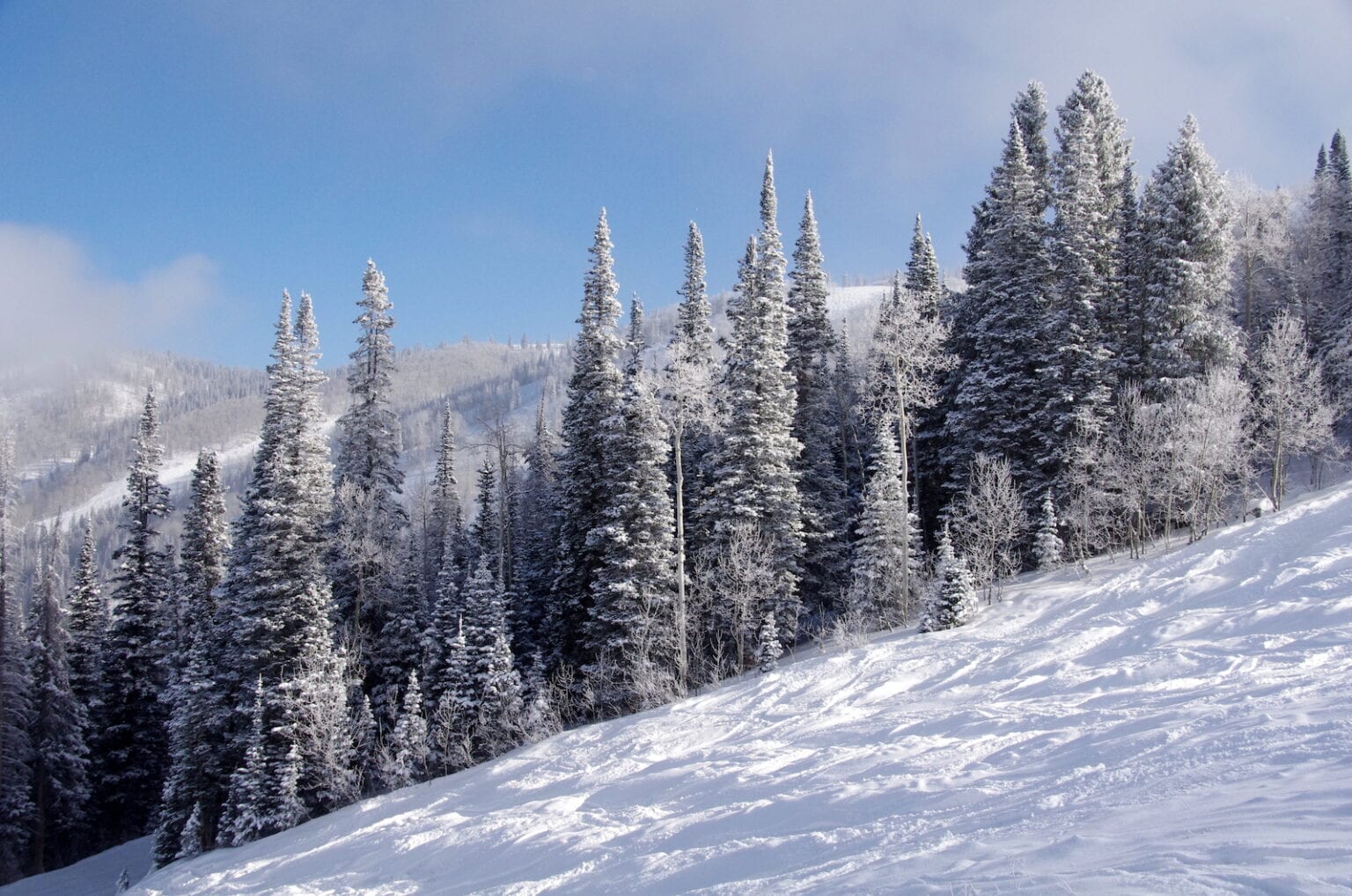 Ski Epic or Ikon? Choosing the Best Colorado Season Pass - Uncover Colorado