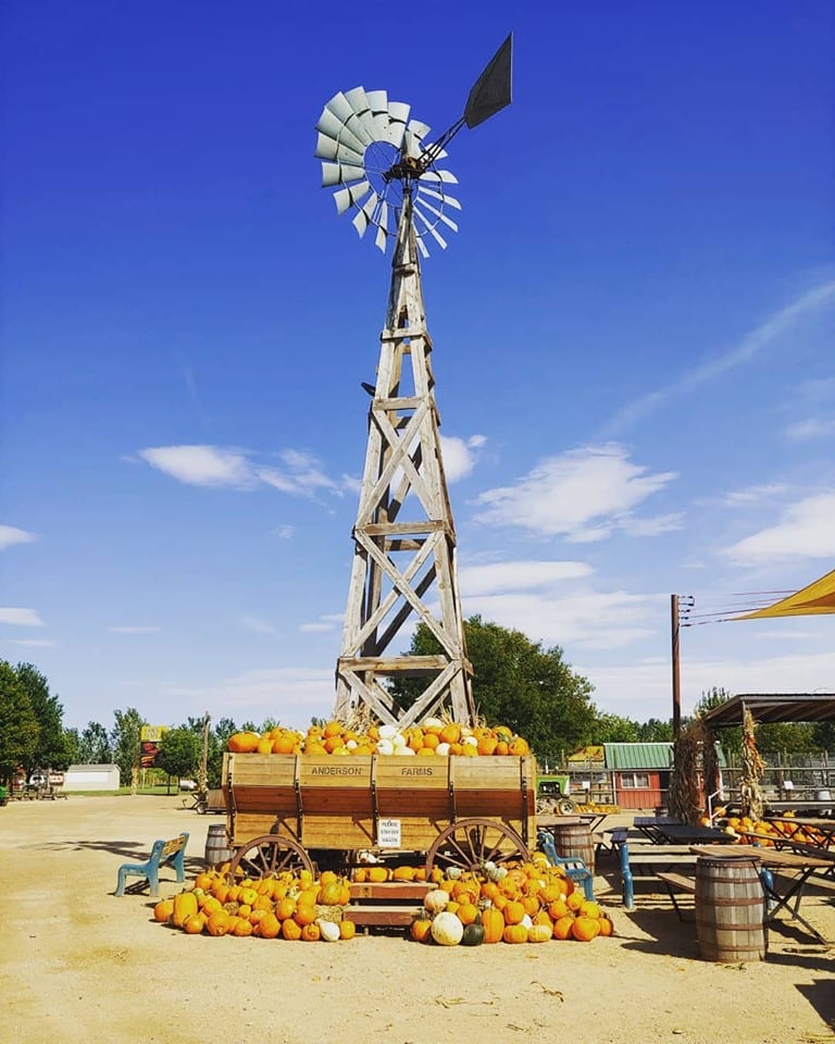 image of Anderson farms