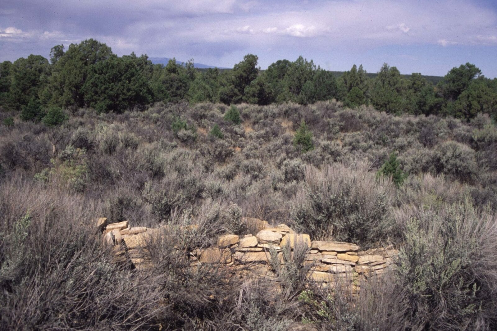 image of the ansel hall ruins