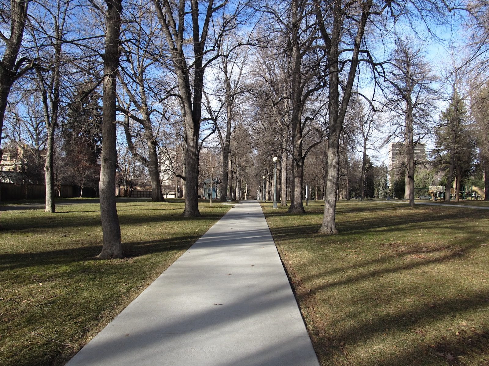 Cheesman Park, Colorado