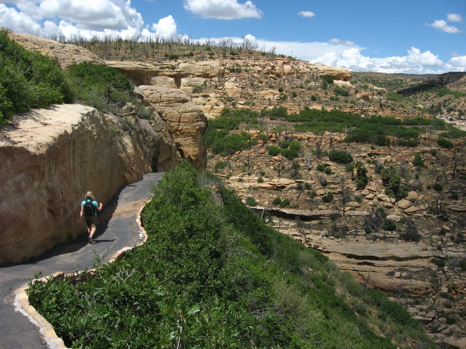 Hike to Step House, Wetherill Mesa, Mesa Verde National Park, Colorado