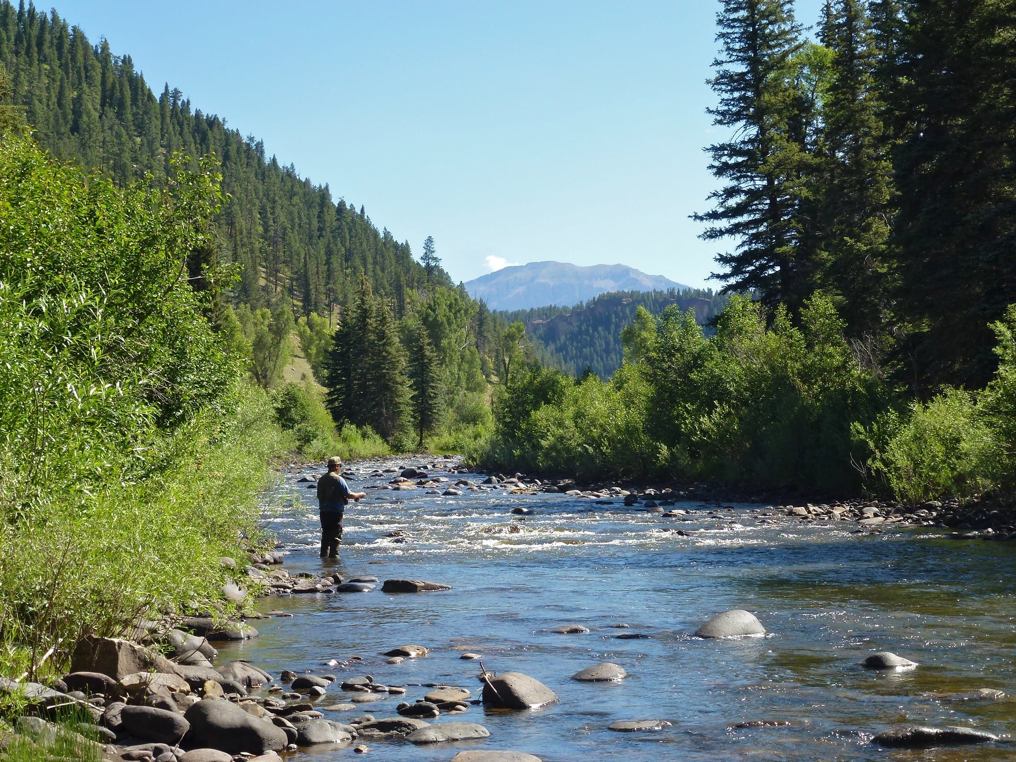 image of fishing on the Piedra River