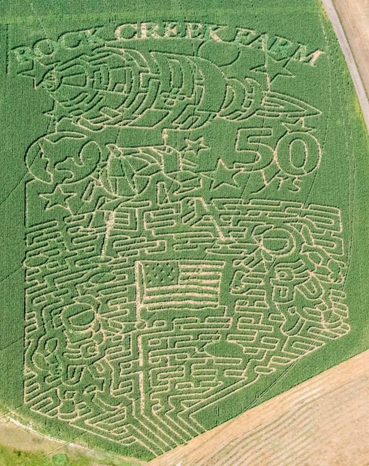 image of corn maze at rock creek farm