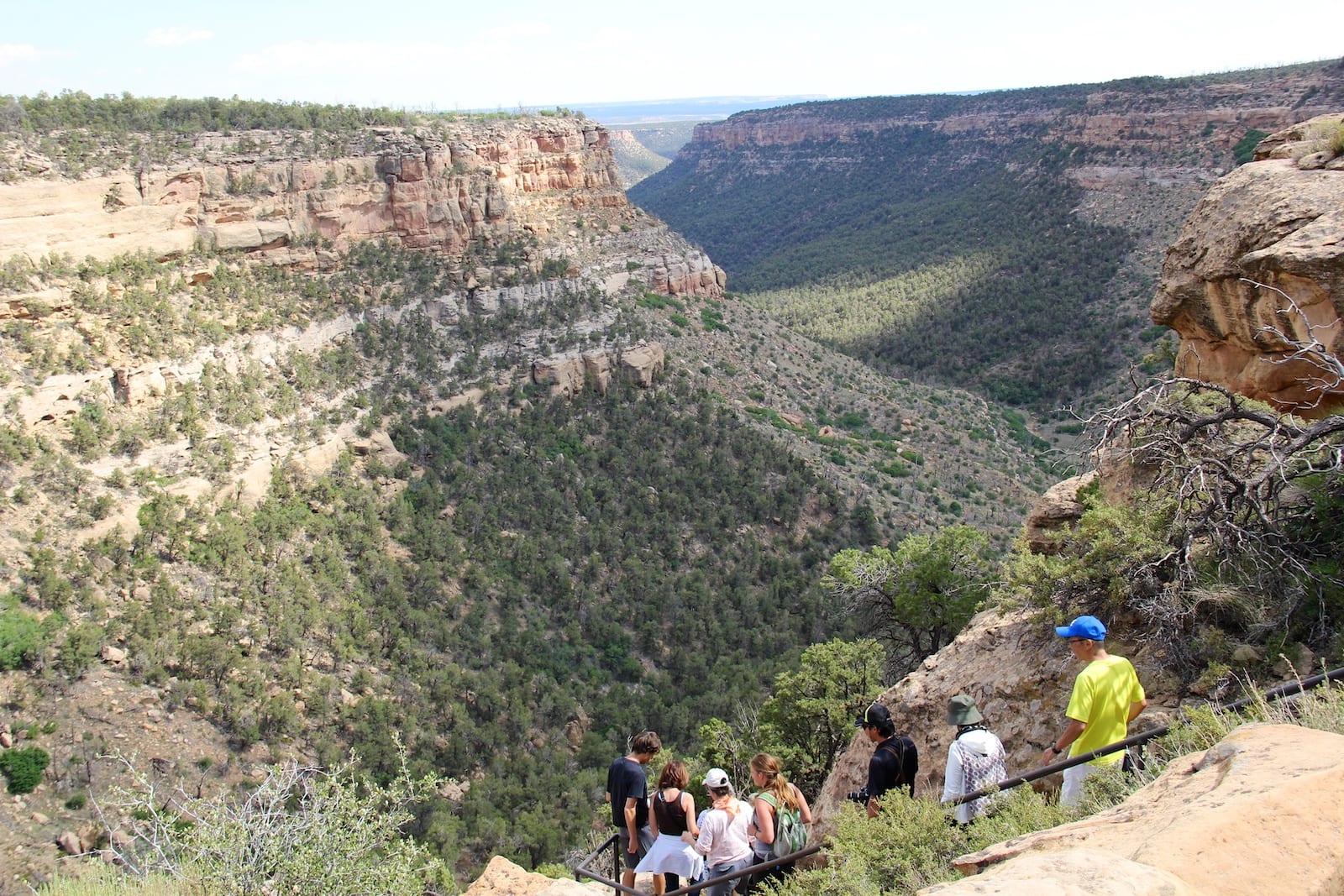 mesa verde hiking tours