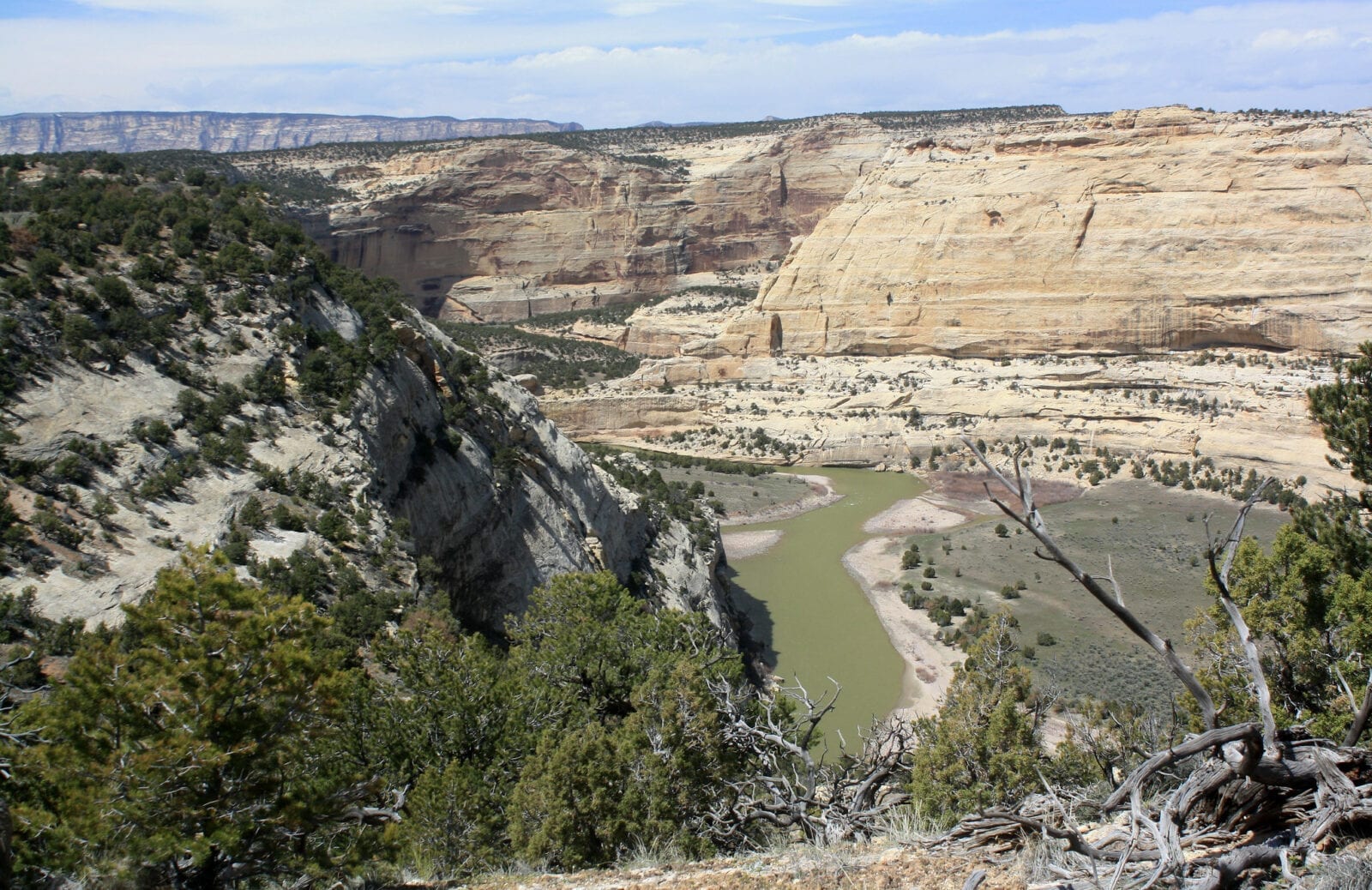 image of yampa river