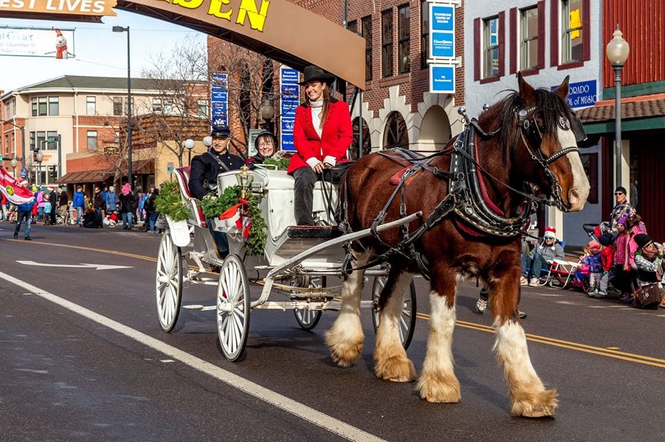 image of carriage ride