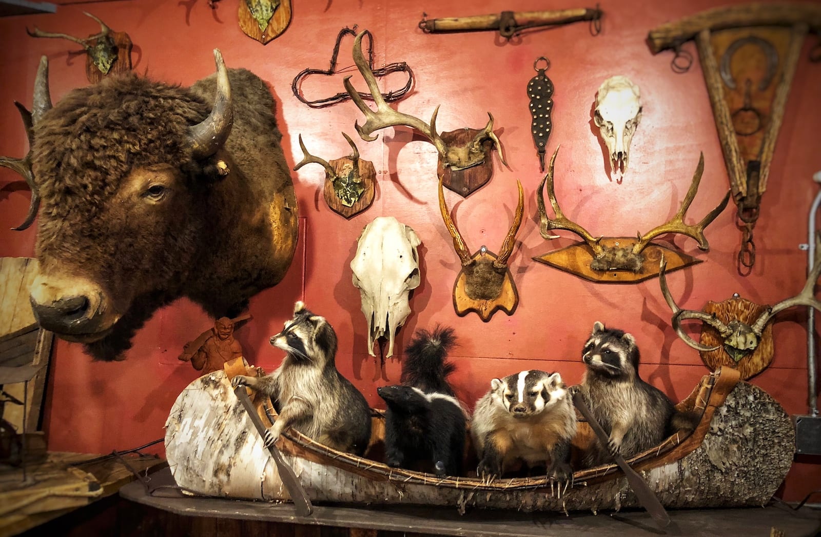 Famous Colorado Restaurants Buckhorn Exchange Denver Taxidermy
