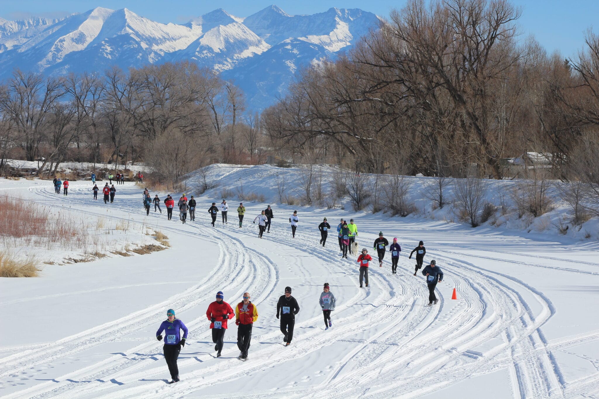 Rio Frio Ice Fest Alamosa CO 5K