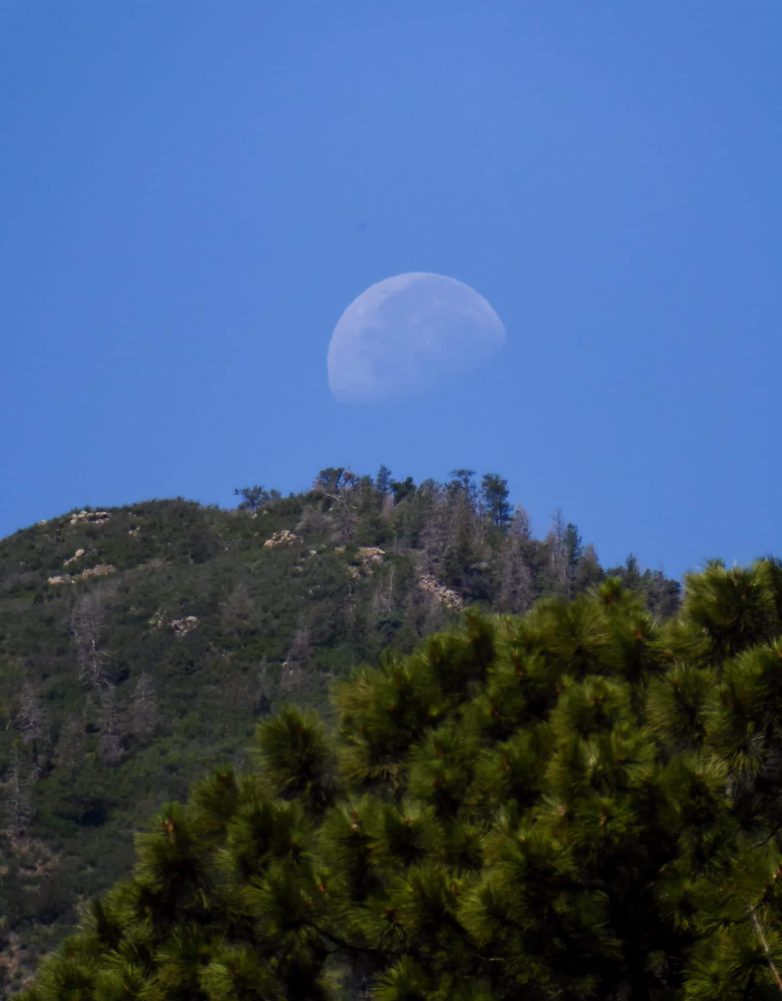 Cheyenne Mountain State Park Summit Moon Colorado Springs