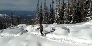 Winter Activities near Grand Junction Powderhorn Mountain Powder Day Skier