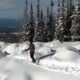 Winter Activities near Grand Junction Powderhorn Mountain Powder Day Skier