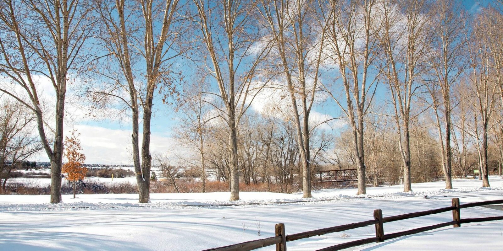 image of colorado in february