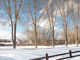 image of colorado in february