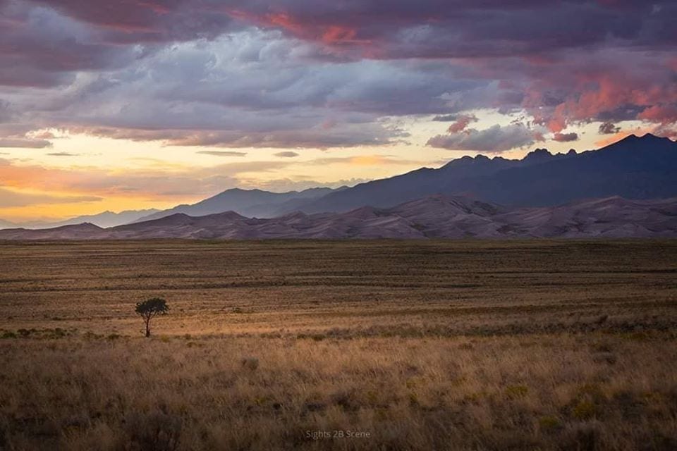 image of sand dunes national park