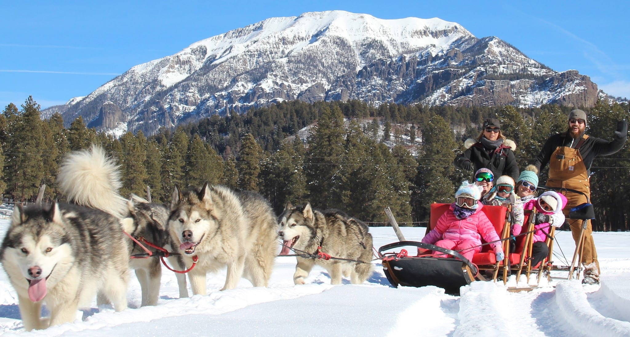 image of san juan sled dogs