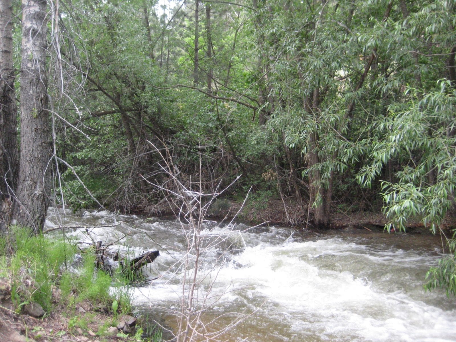 Jamestown, Colorado Things To Do and Events Boulder County